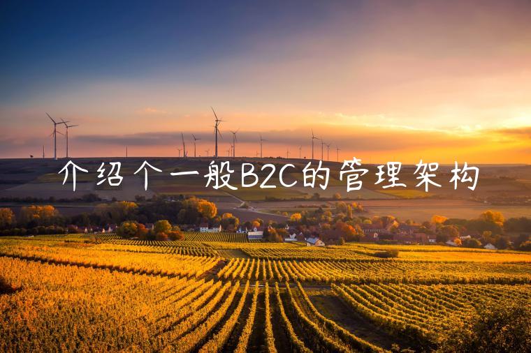 介紹個(gè)一般B2C的管理架構(gòu)